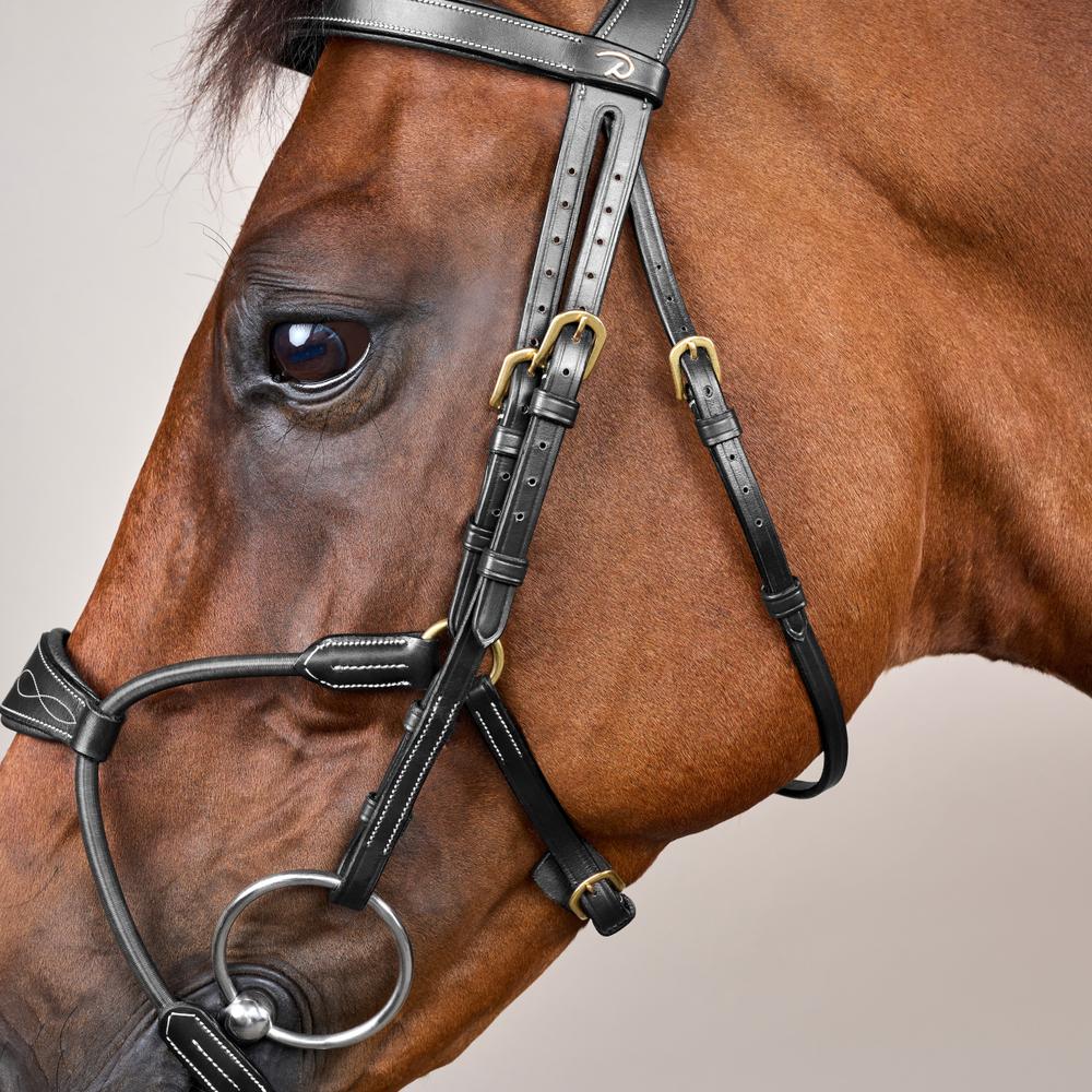Elastic Hybrid Noseband Bridle DY |  | Durable — Image 3