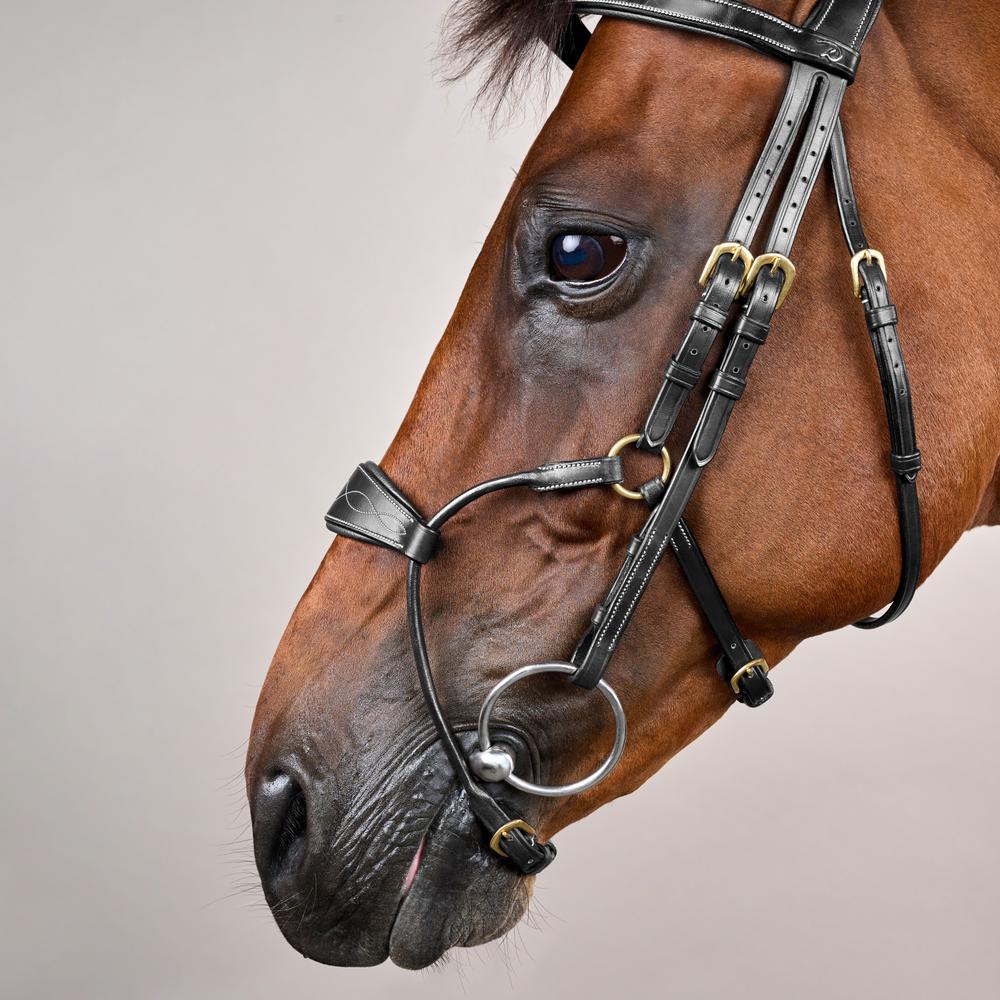 Hybrid Noseband Bridle DY |  | DurableLeather — Image 3