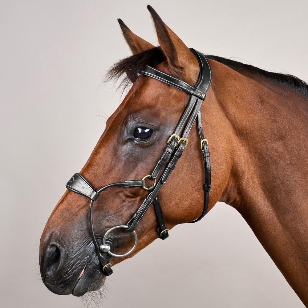 Hybrid Noseband Bridle DY |  | DurableLeather — Image 2