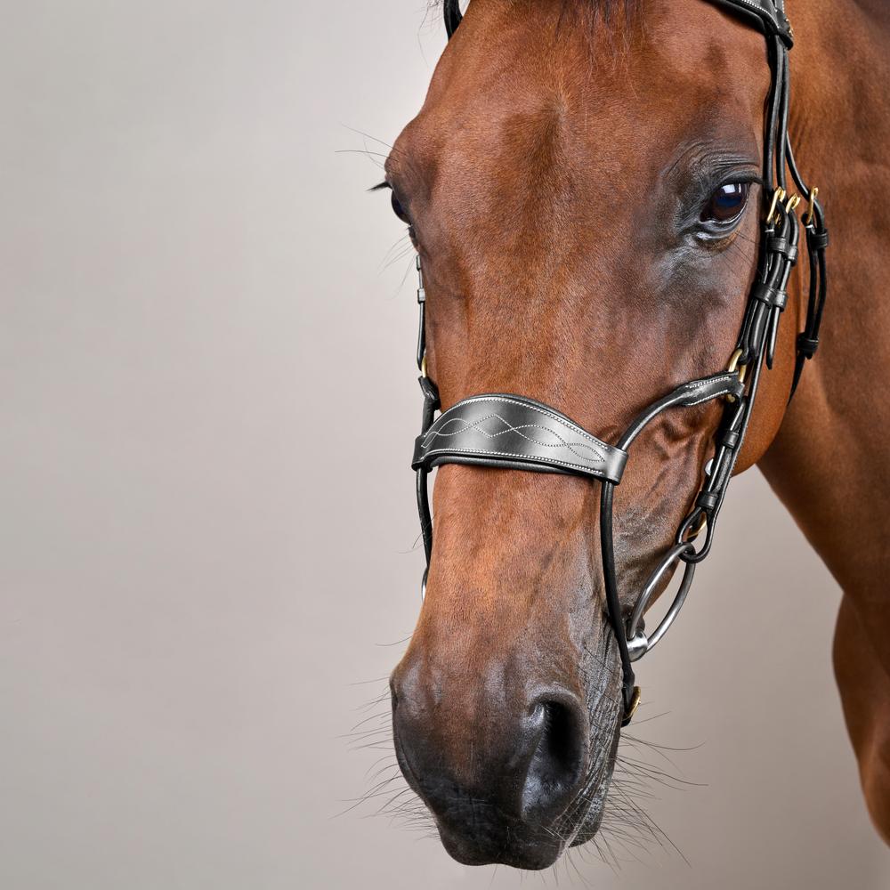 Hybrid Noseband Bridle DY |  | DurableLeather — Image 5