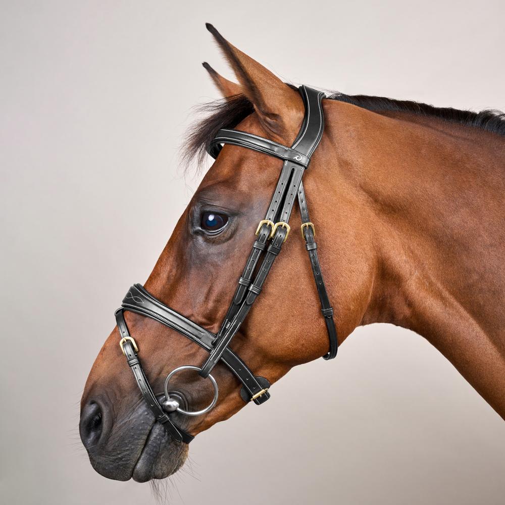 Anatomic Flash Noseband Bridle DY | Dy'on | luxuriousleather — Image 9