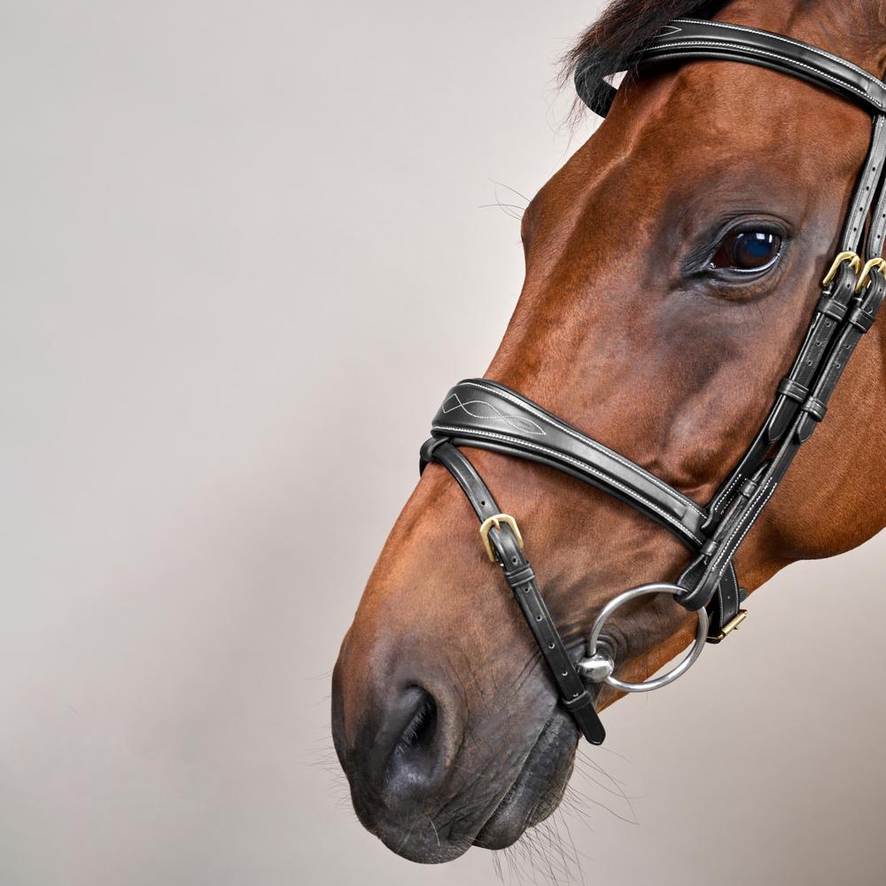 Anatomic Flash Noseband Bridle DY | Dy'on | luxuriousleather — Image 7