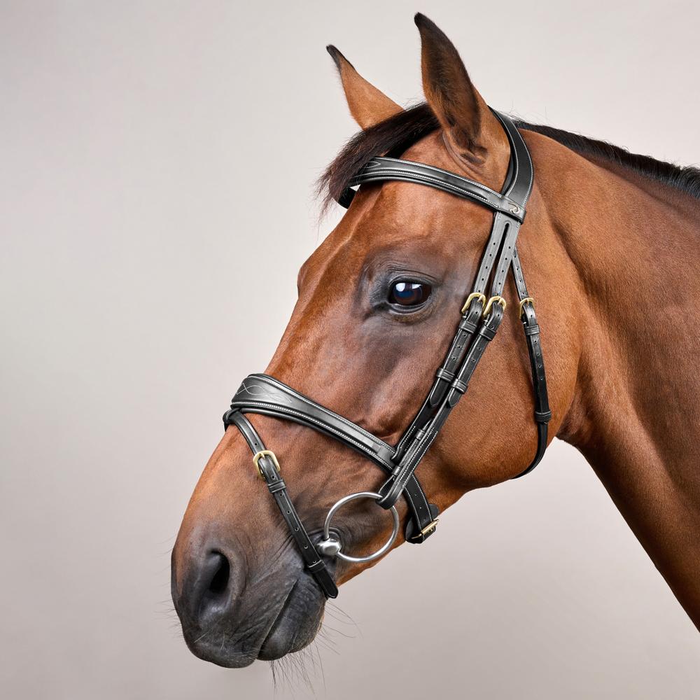 Anatomic Flash Noseband Bridle DY | Dy'on | luxuriousleather — Image 6