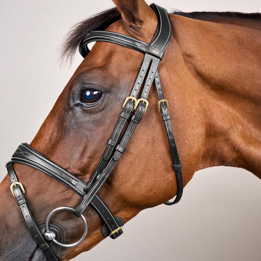 Anatomic Flash Noseband Bridle DY | Dy'on | luxuriousleather — Image 8