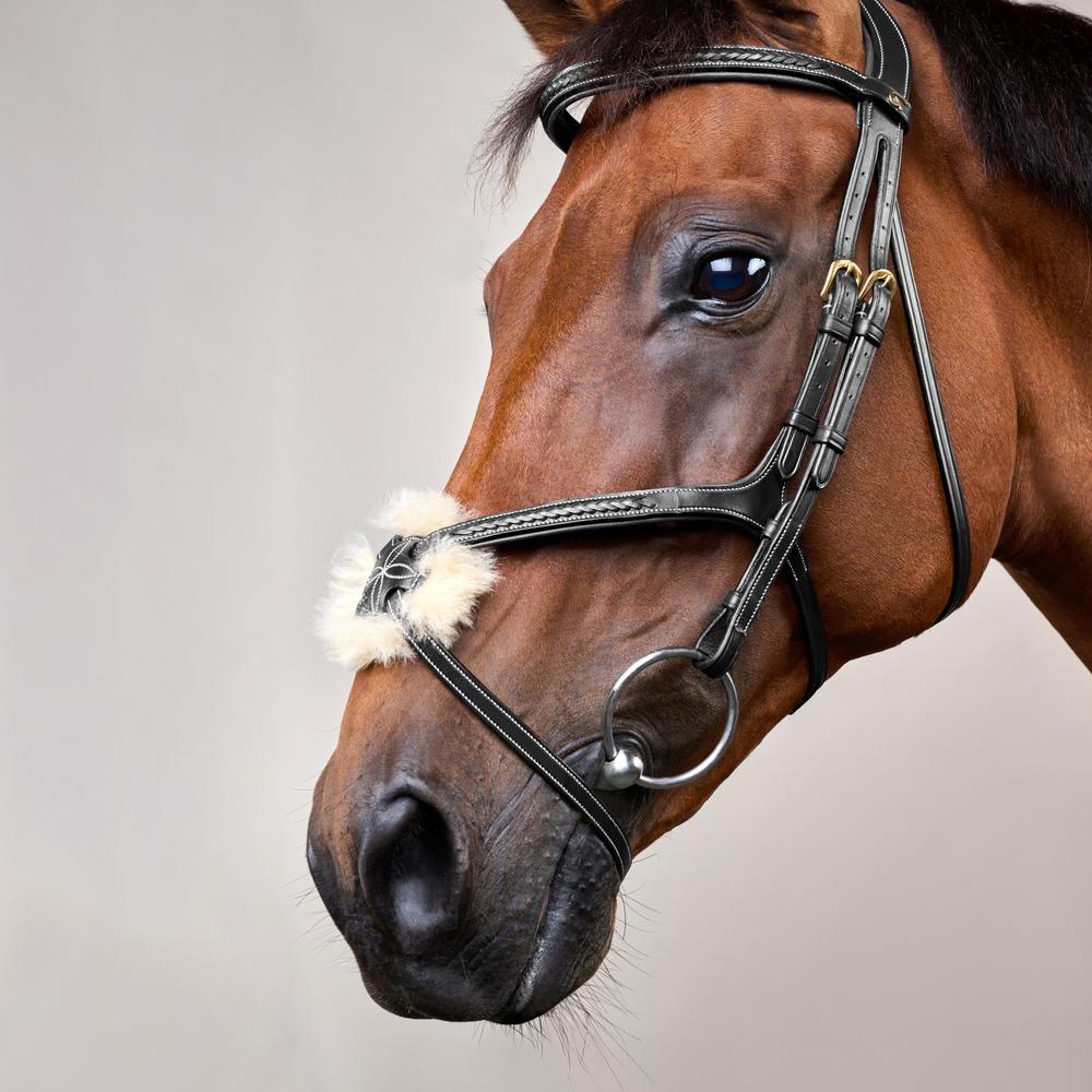 Plaited Figure 8 Noseband Bridle DY |  | elegance — Image 4