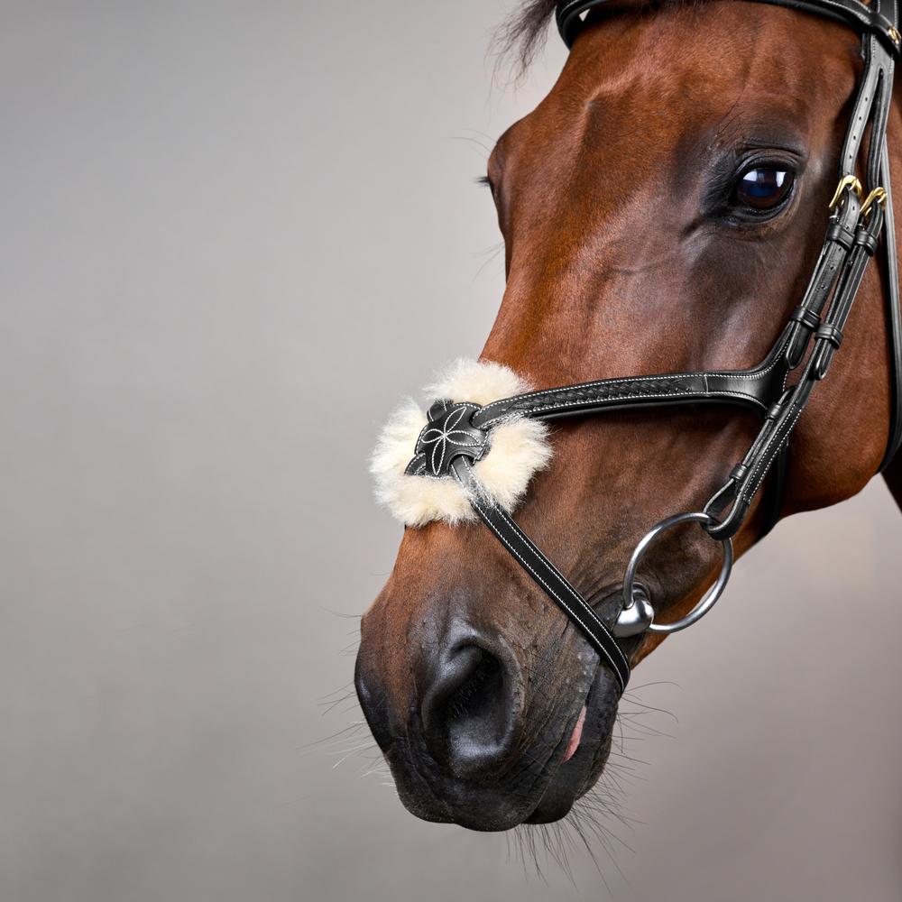 Plaited Figure 8 Noseband Bridle DY |  | elegance — Image 11