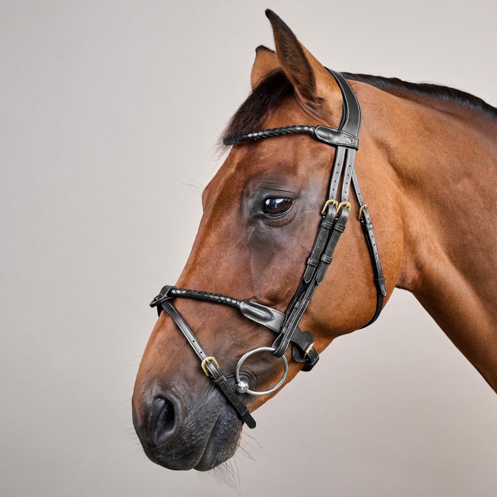 Braided Flash Noseband Bridle DY | Dy'on | premiumleather — Image 8