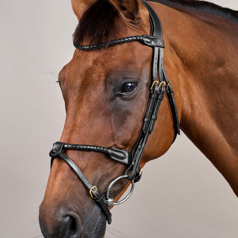 Braided Flash Noseband Bridle DY | Dy'on | premiumleather — Image 7