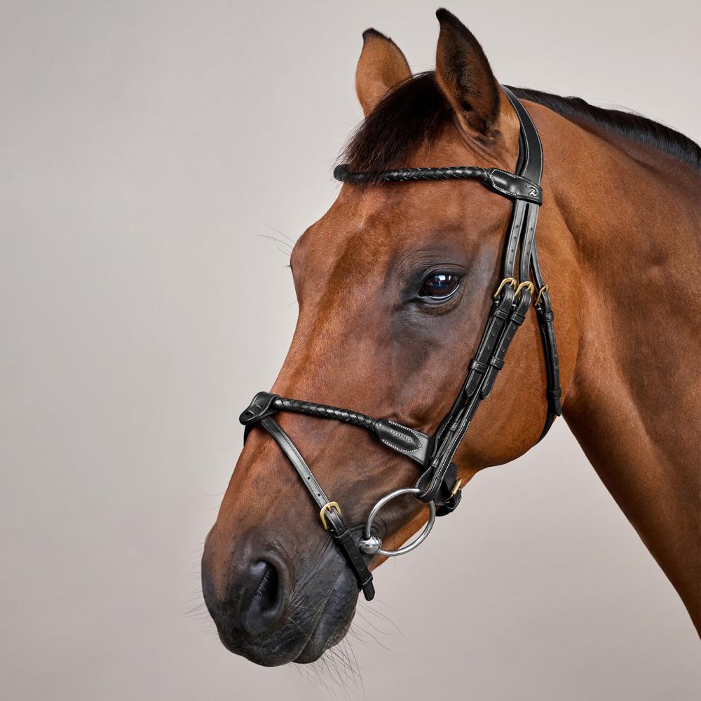 Braided Flash Noseband Bridle DY | Dy'on | premiumleather — Image 9