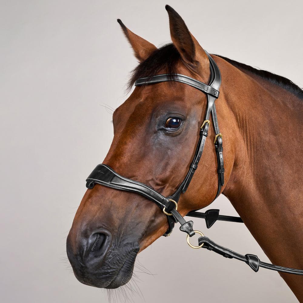 D Motion Bridle DY | Dy'on | Comfort — Image 7