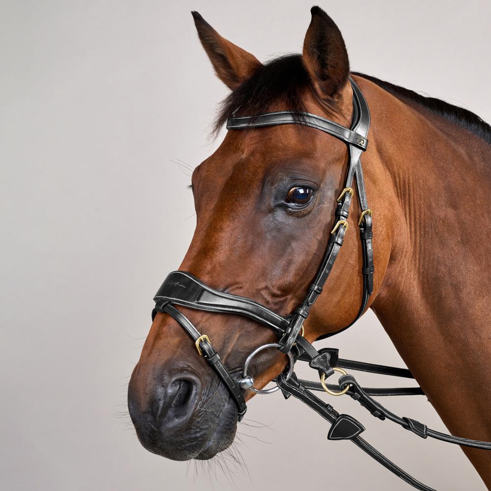 D Motion Bridle DY | Dy'on | Comfort — Image 4
