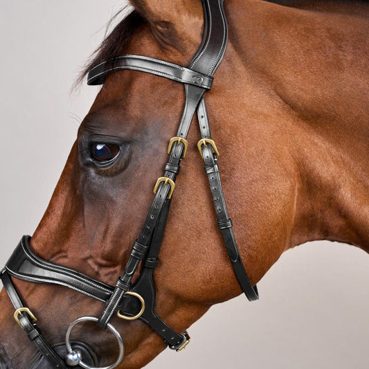 D Motion Bridle DY | Dy'on | Comfort — Image 2