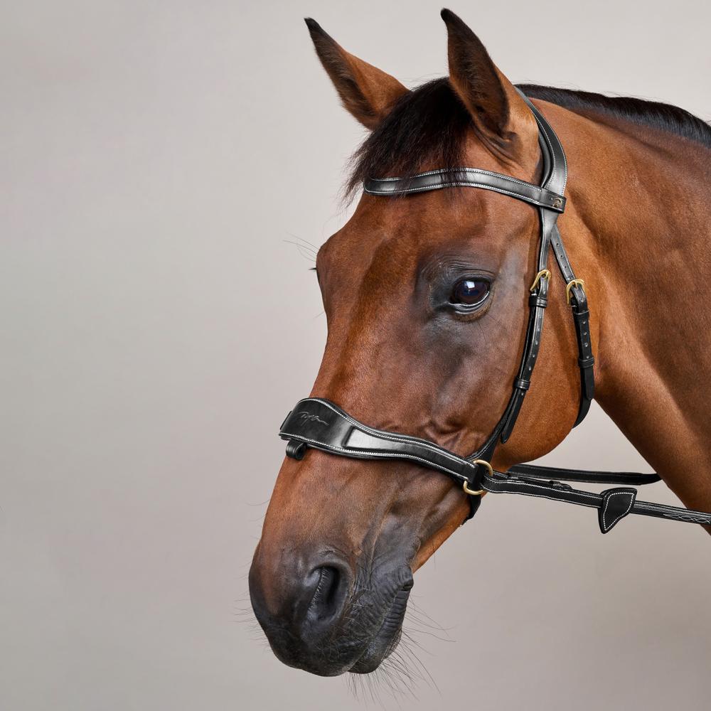 D Motion Bridle DY | Dy'on | Comfort — Image 8