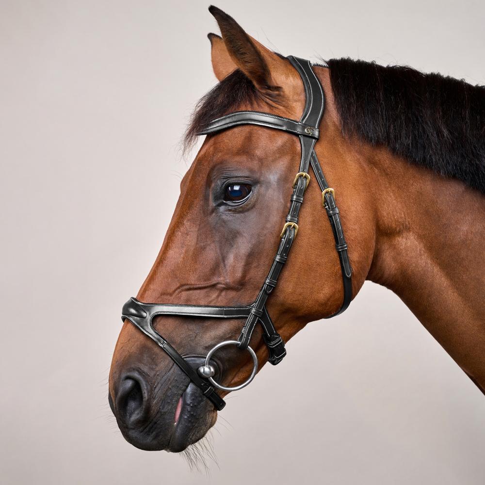 X-Fit Bridle DY | Dy'on | PremiumLeather — Image 7