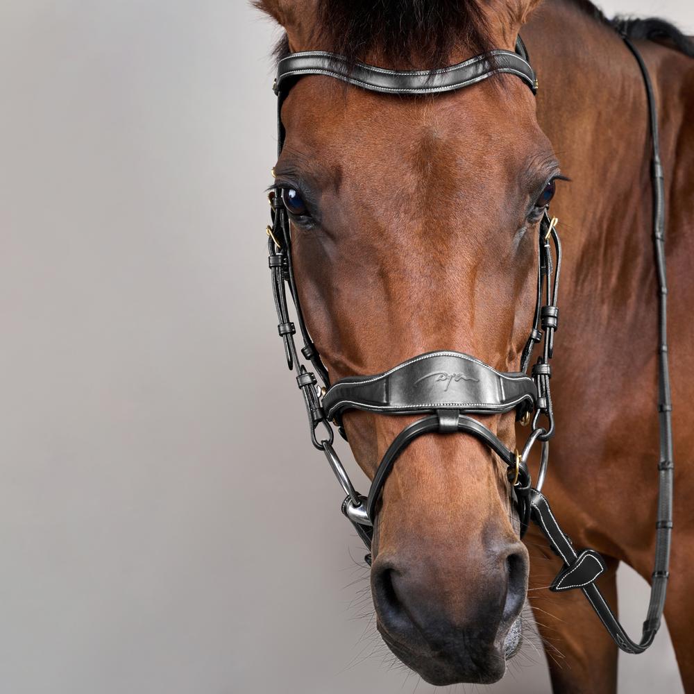 D Motion Bridle DY | Dy'on | Comfort
