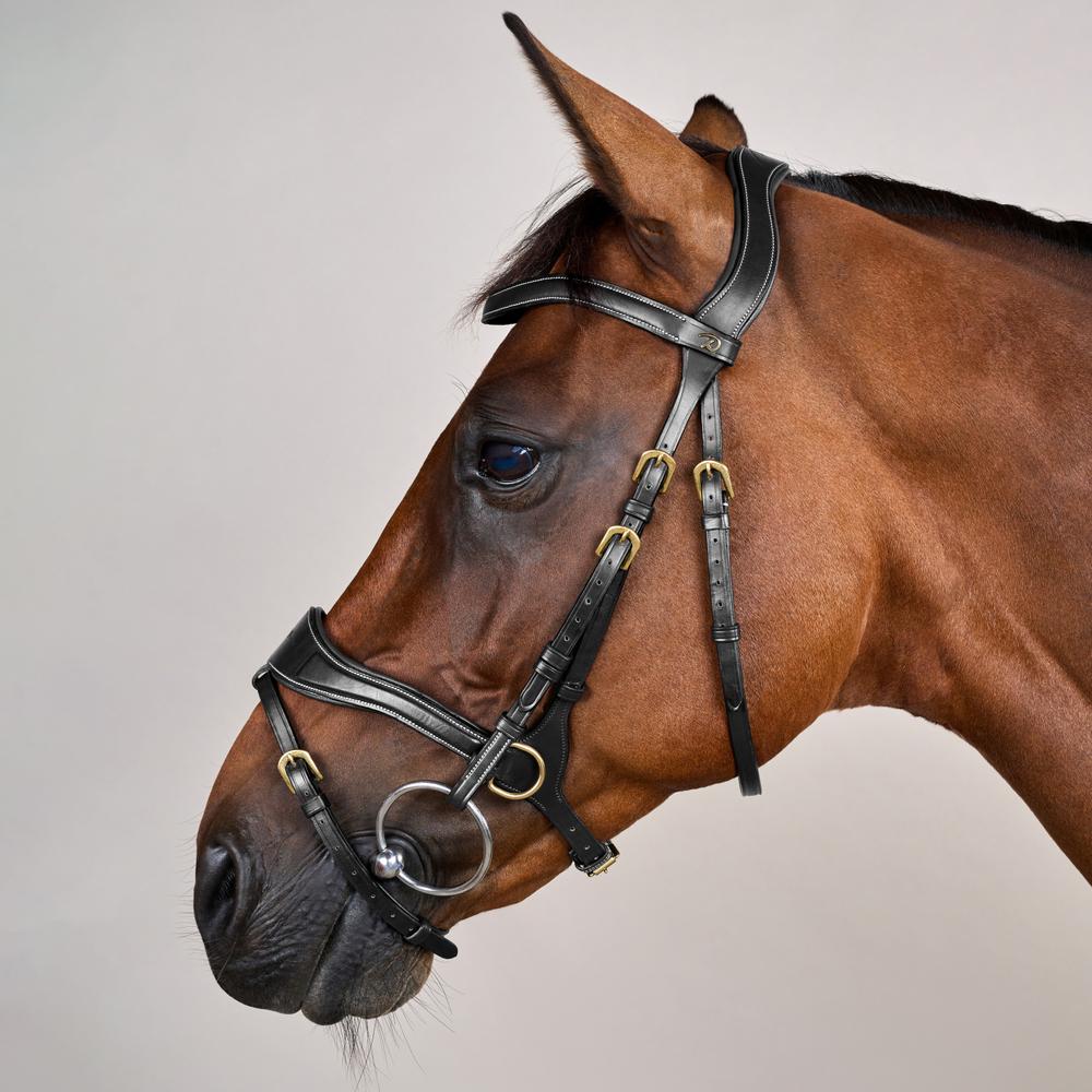 D Motion Bridle DY | Dy'on | Comfort — Image 3
