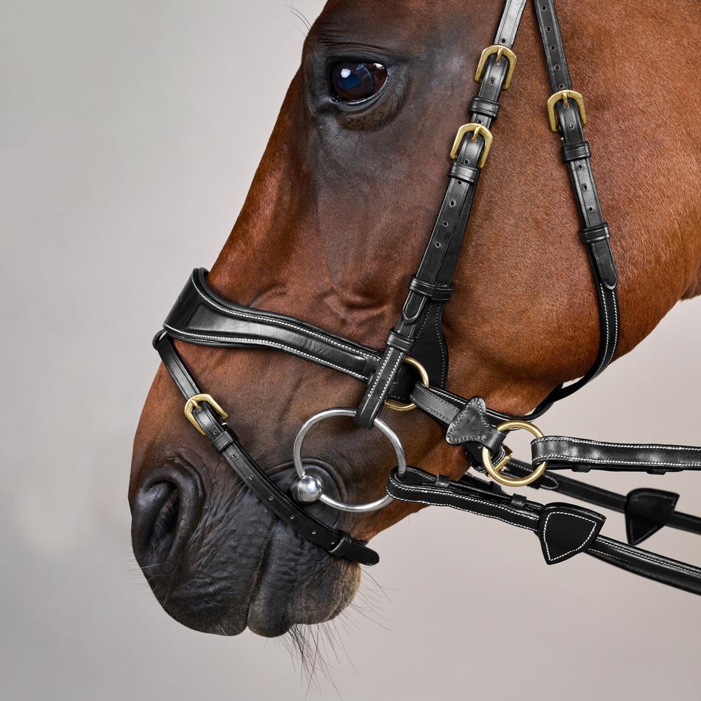 D Motion Bridle DY | Dy'on | Comfort — Image 5