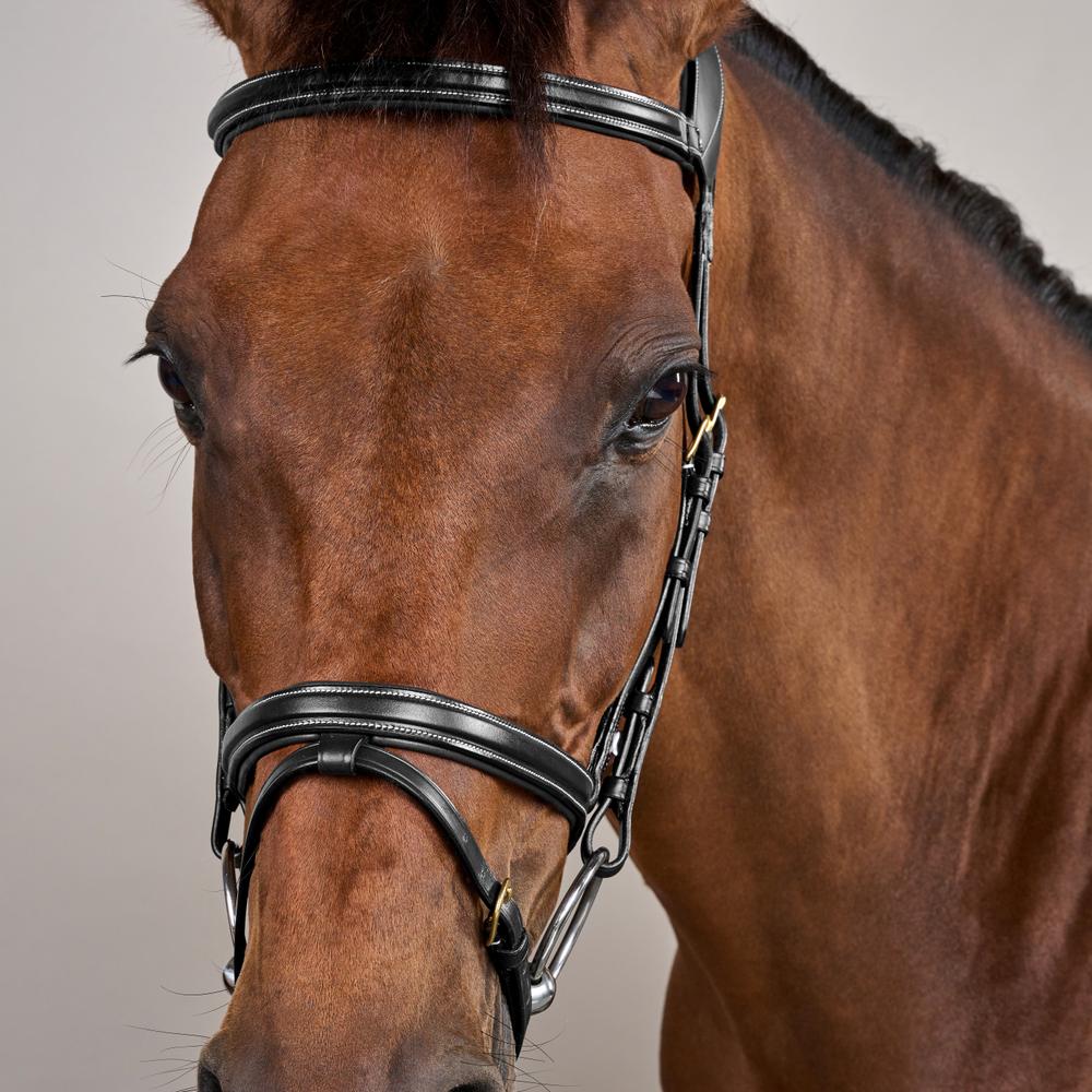 Difference Bridle DY | Dy'on | Comfort — Image 12