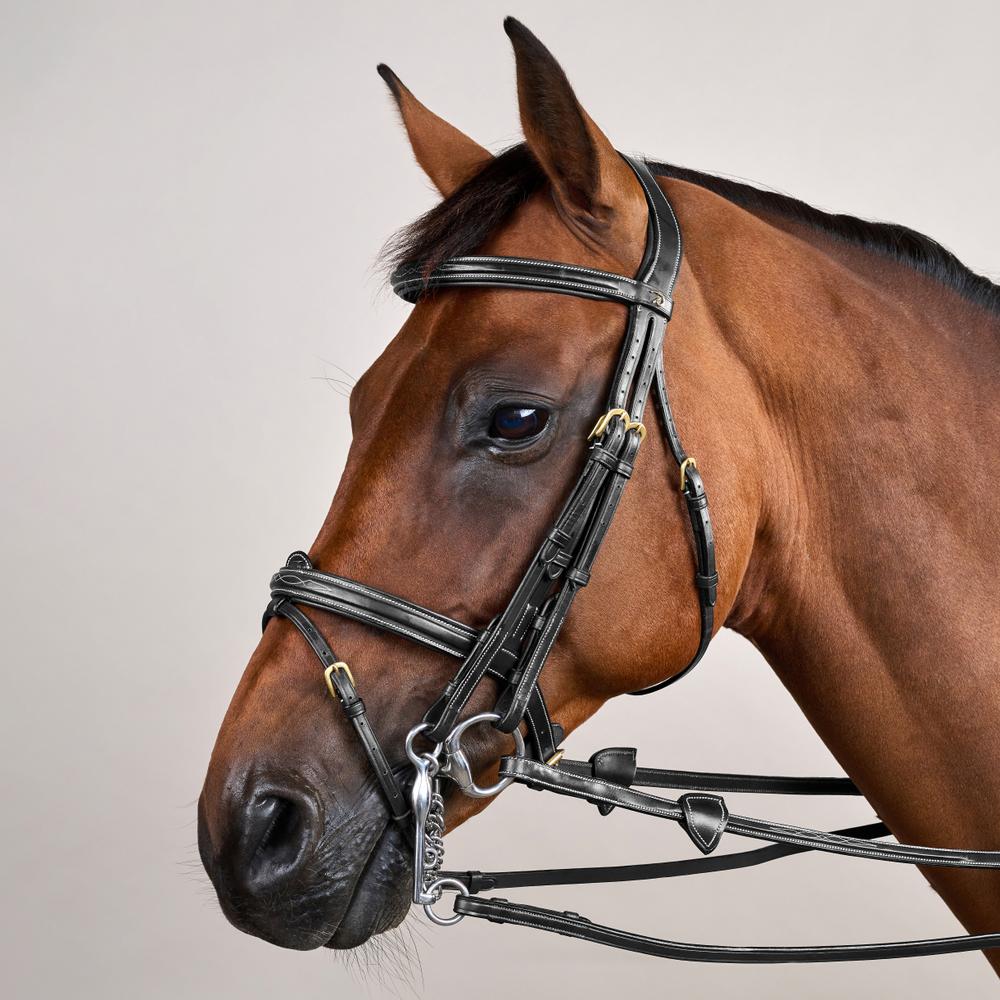 Flash Noseband Double Bridle DY | Dy'on | premiumleather — Image 8