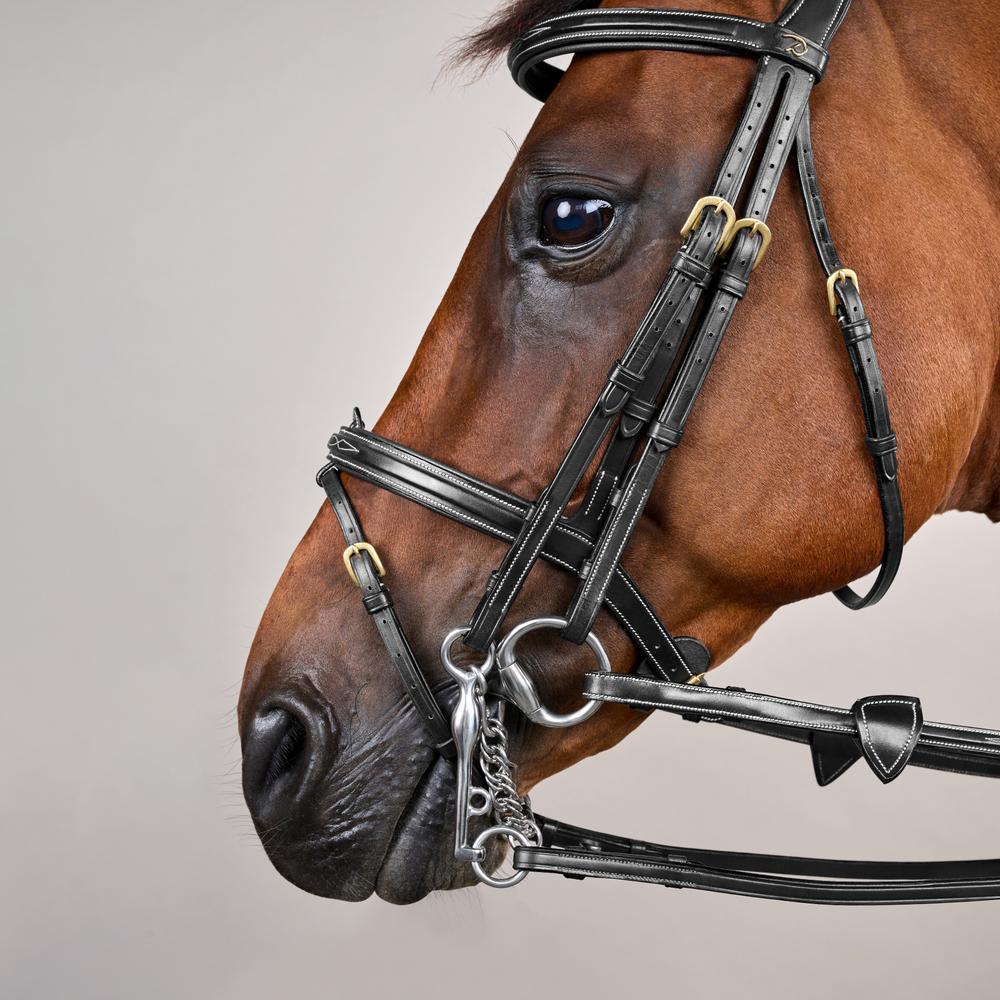 Flash Noseband Double Bridle DY | Dy'on | premiumleather — Image 10
