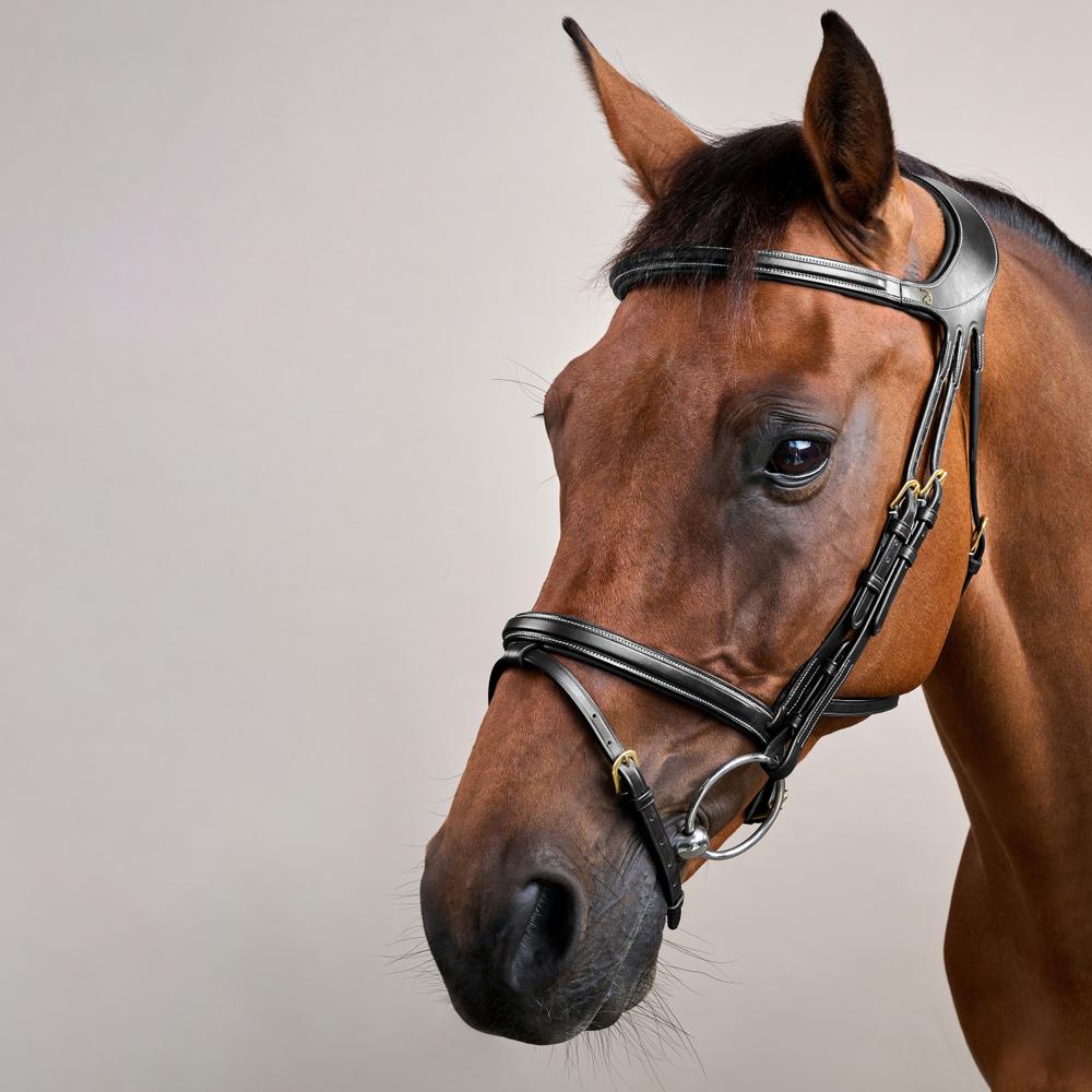Difference Bridle DY | Dy'on | Comfort — Image 8