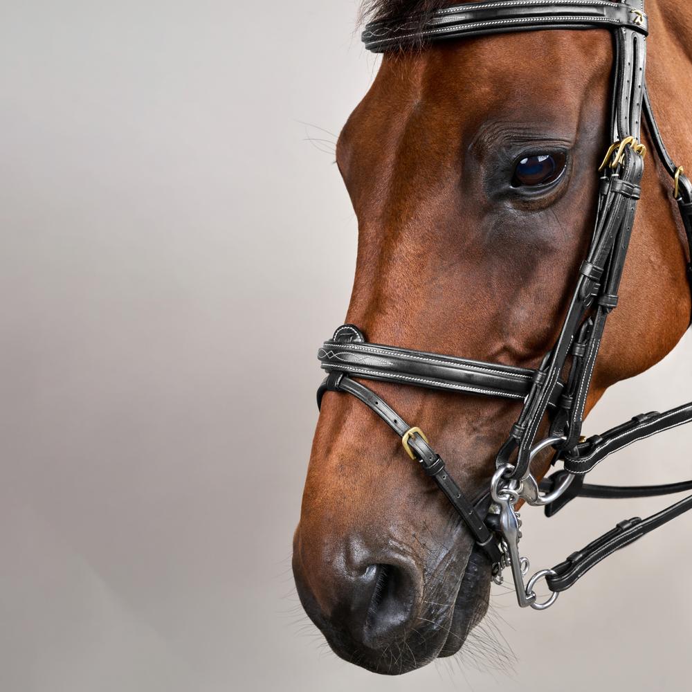 Flash Noseband Double Bridle DY | Dy'on | premiumleather — Image 11