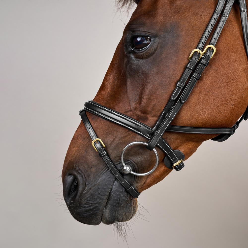Difference Bridle DY | Dy'on | Comfort — Image 11