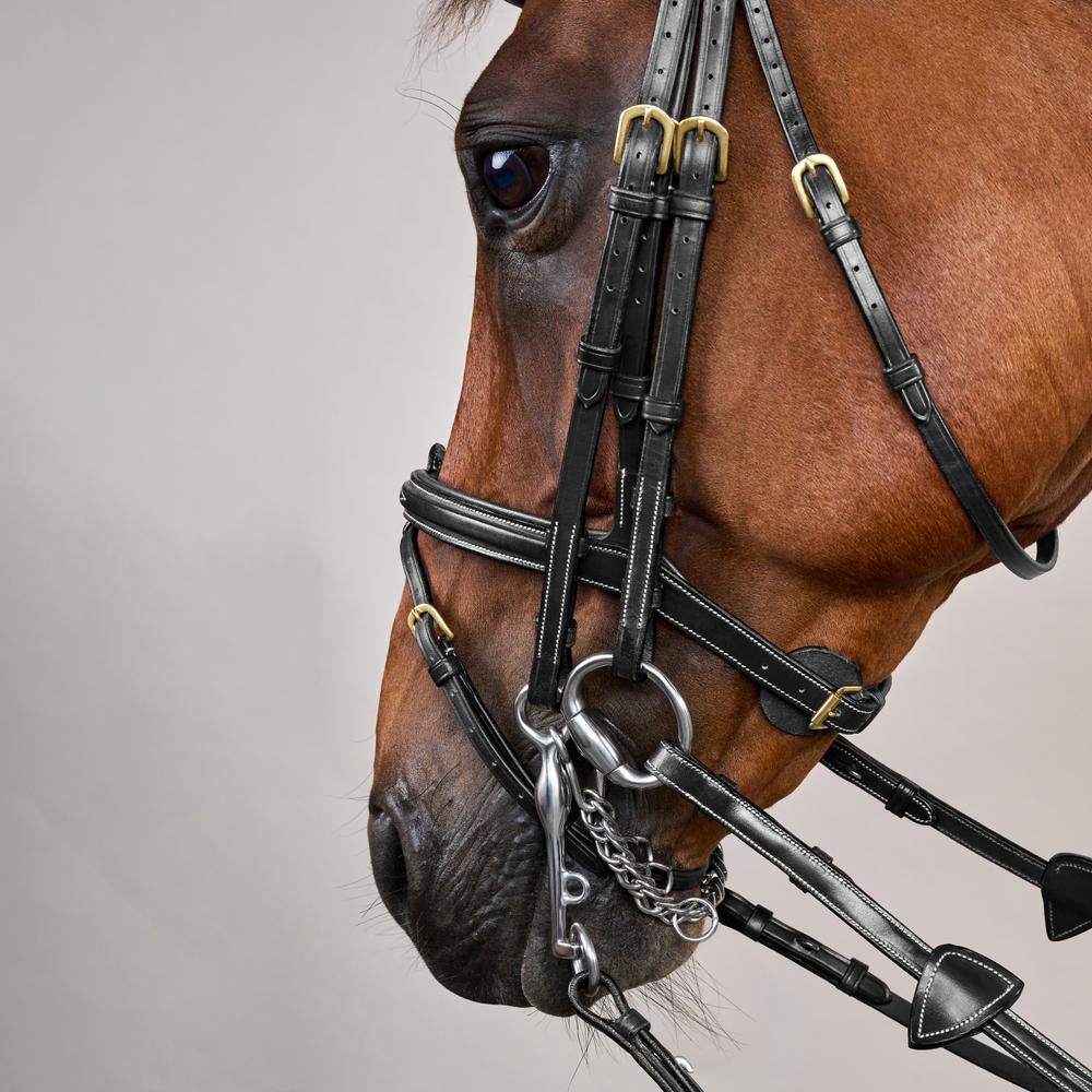 Flash Noseband Double Bridle DY | Dy'on | premiumleather — Image 12