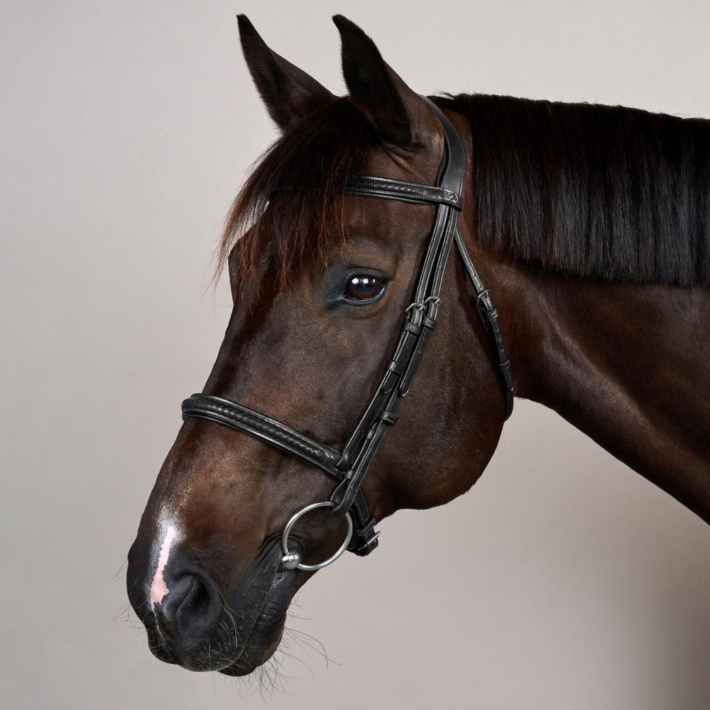 Plaited Noseband Bridle Without Flash NE | Dy'on | Durability — Image 2