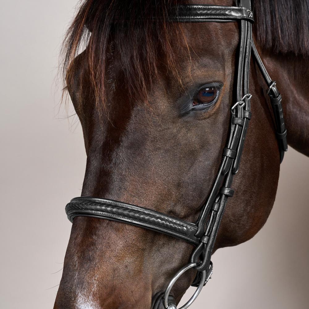 Plaited Noseband Bridle Without Flash NE | Dy'on | Durability — Image 5