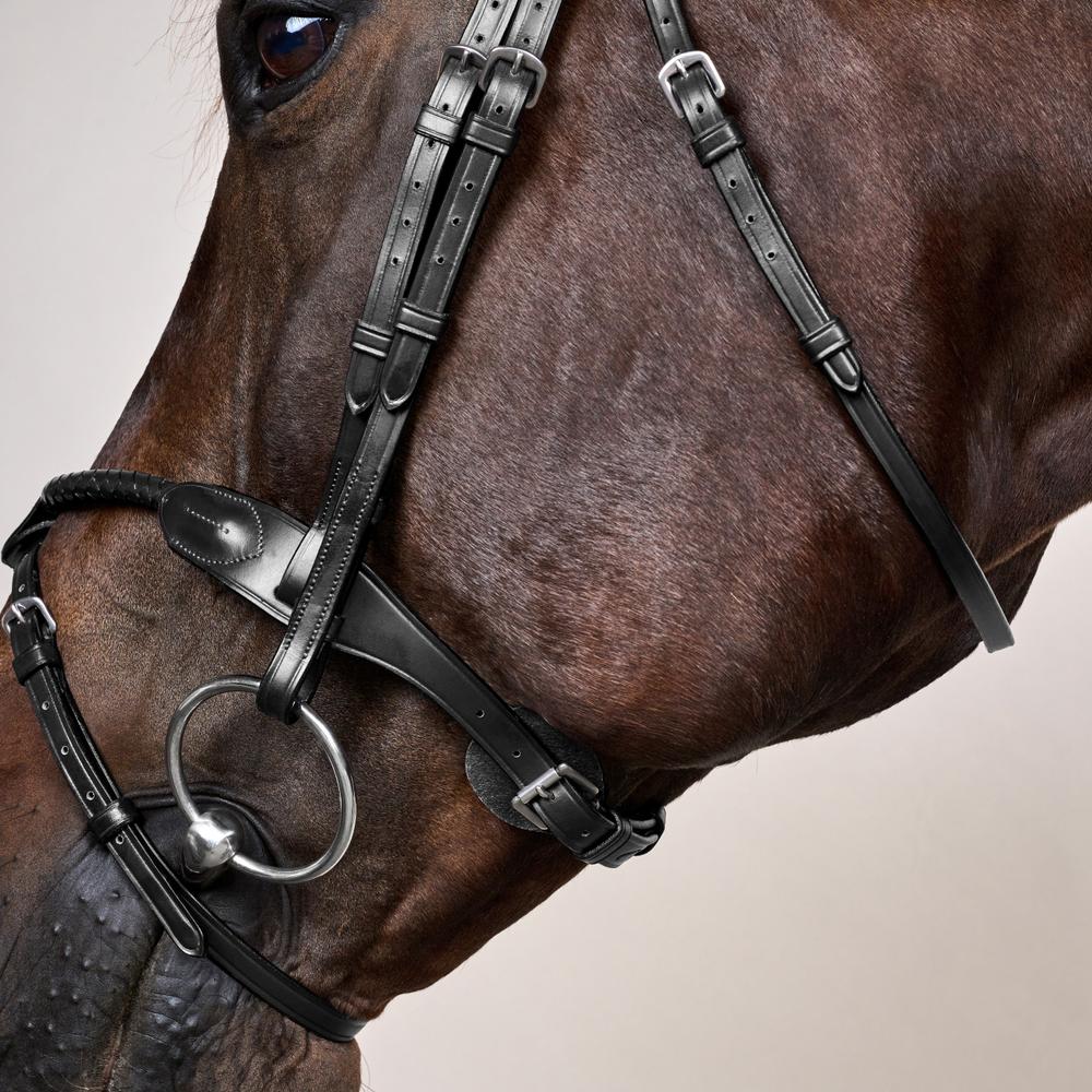 Braided Noseband Bridle with Removable Flash NE | Dy'on | Durability — Image 11