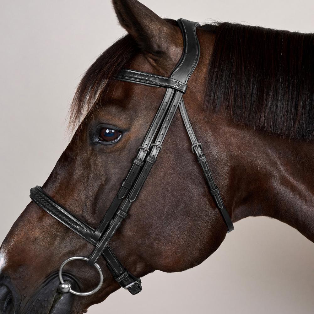 Plaited Noseband Bridle Without Flash NE | Dy'on | Durability — Image 3
