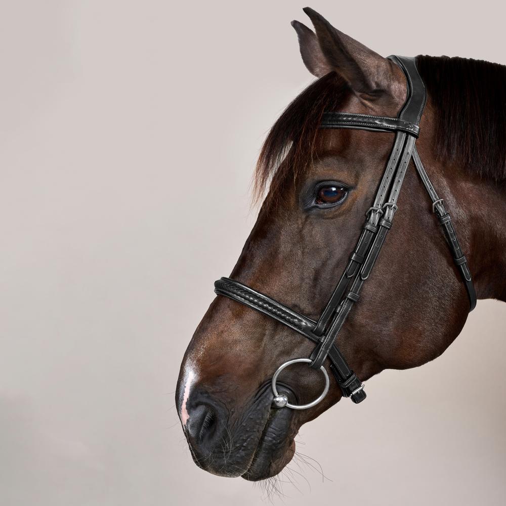 Plaited Noseband Bridle Without Flash NE | Dy'on | Durability — Image 4