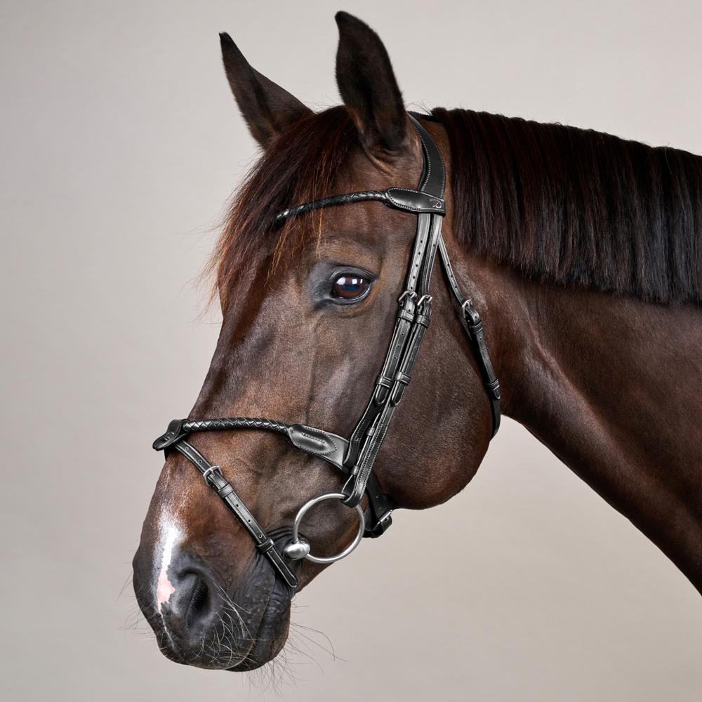 Braided Noseband Bridle with Removable Flash NE | Dy'on | Durability — Image 8