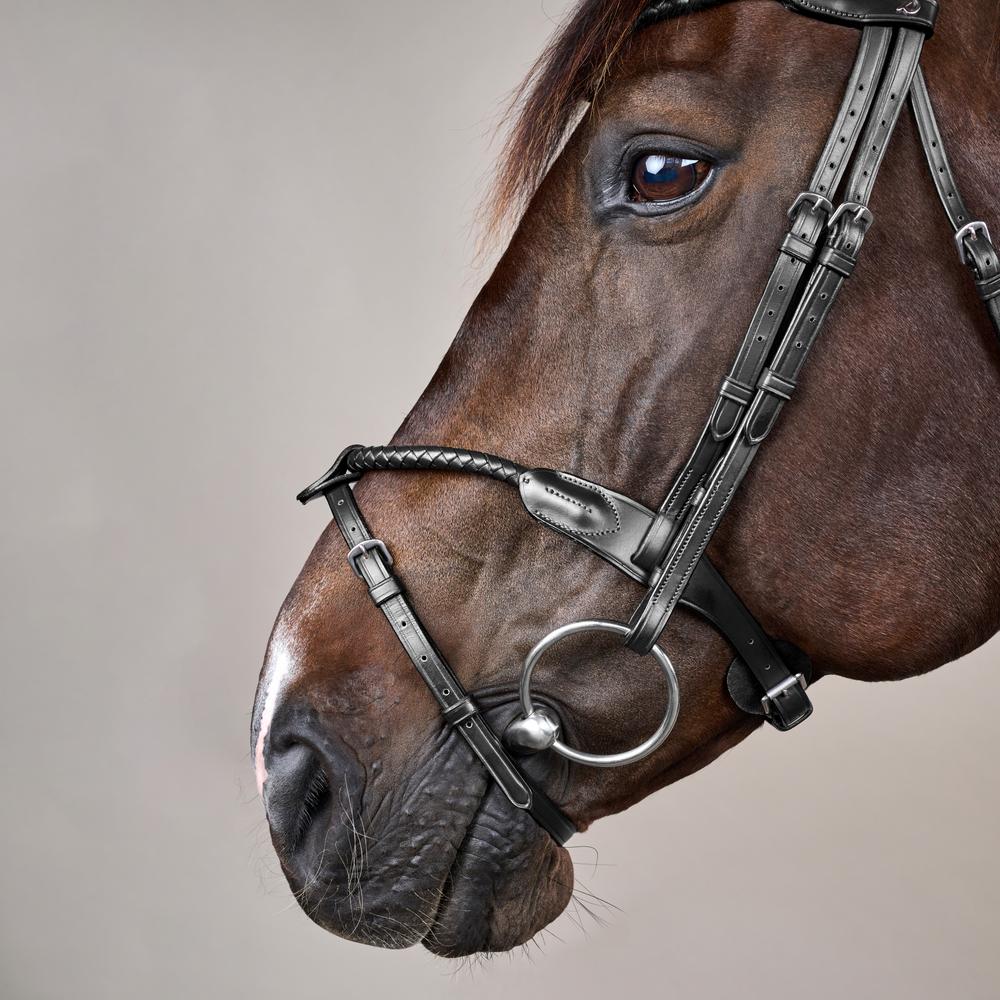 Braided Noseband Bridle with Removable Flash NE | Dy'on | Durability — Image 10