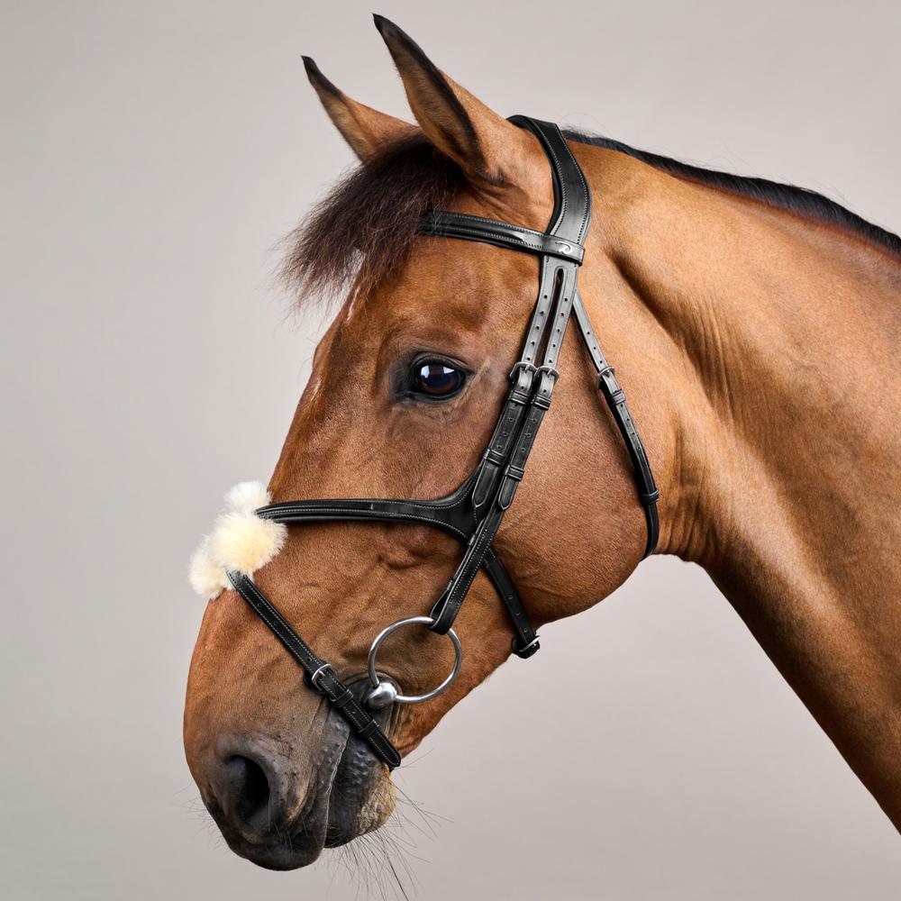 Figure 8 Noseband Bridle NE | Dy'on | control — Image 8