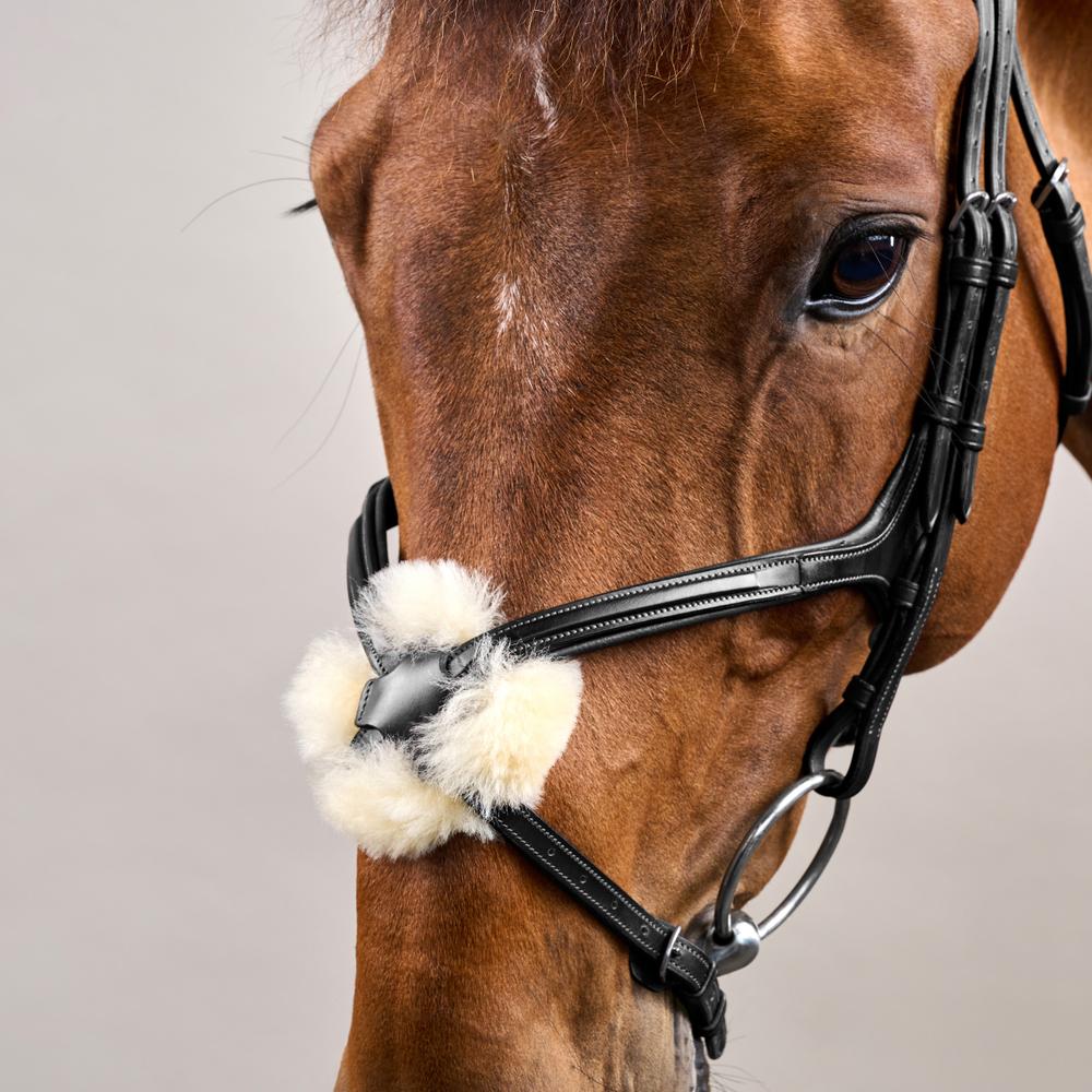 Figure 8 Noseband Bridle NE | Dy'on | control — Image 12