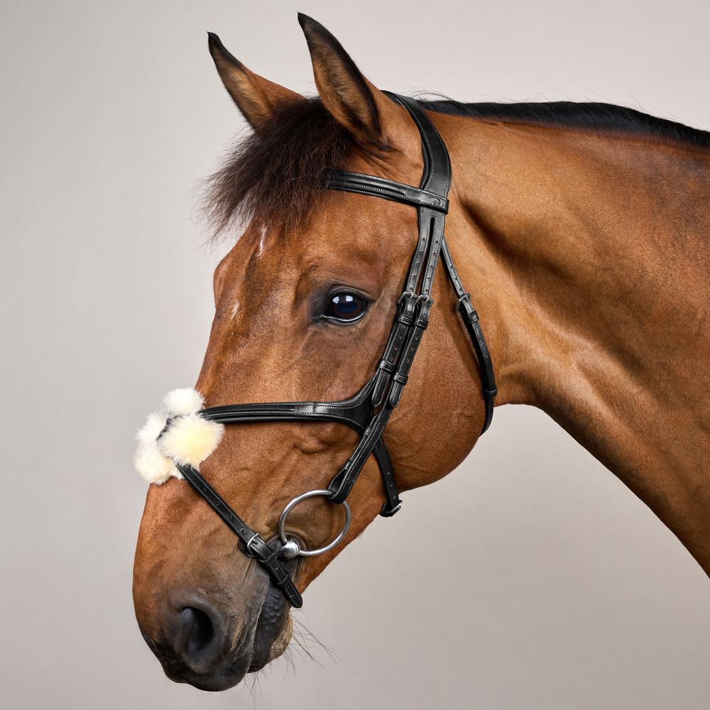 Figure 8 Noseband Bridle NE | Dy'on | control — Image 9