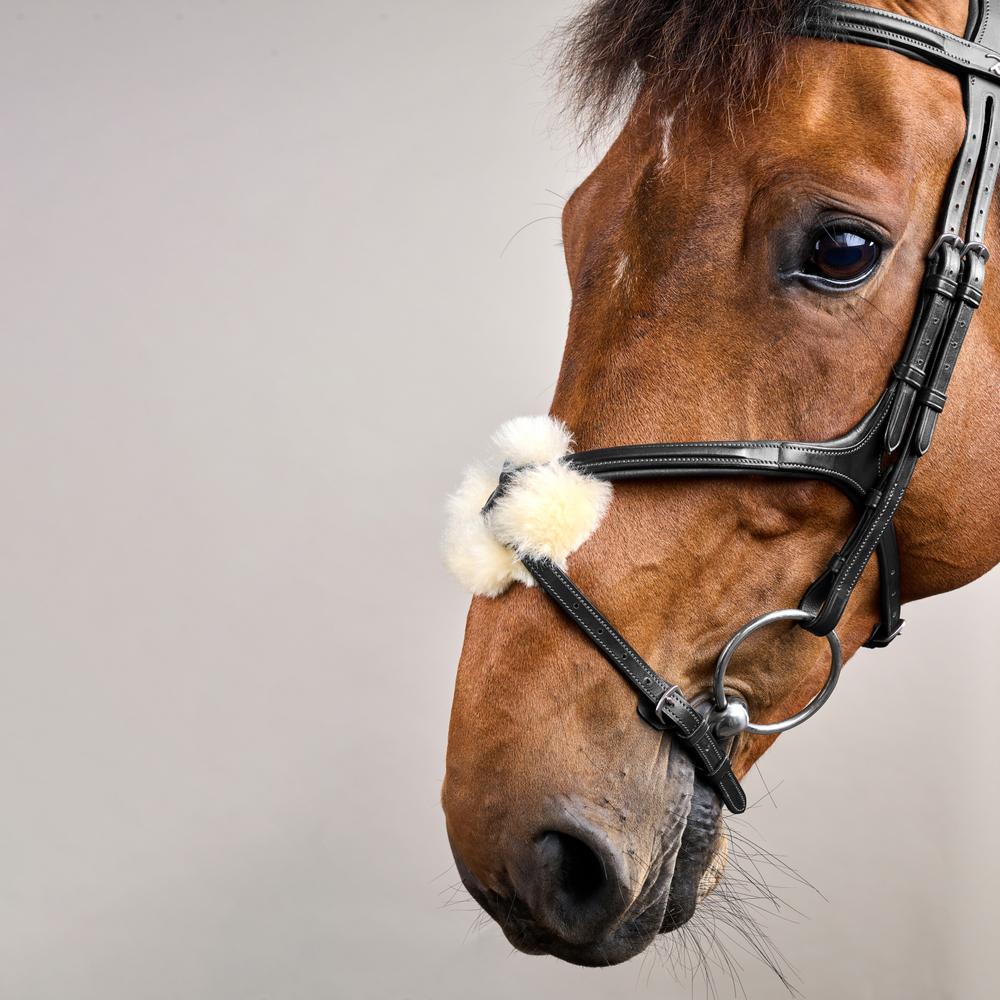 Figure 8 Noseband Bridle NE | Dy'on | control — Image 11