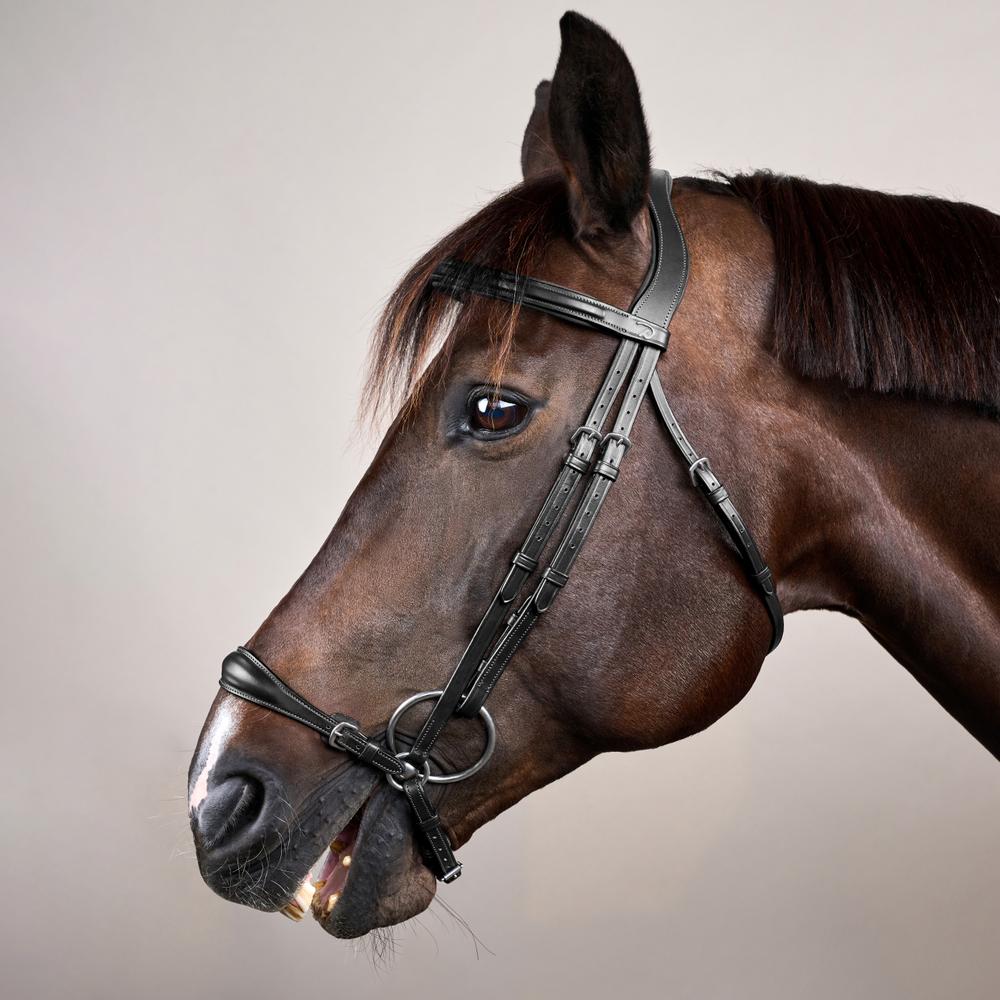 Adjustable Drop Noseband Bridle NE | Dy'on | Durability — Image 11