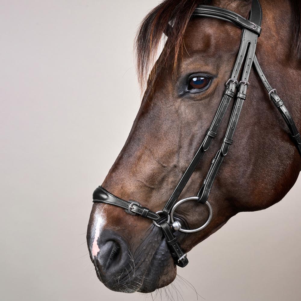 Adjustable Drop Noseband Bridle NE | Dy'on | Durability — Image 13