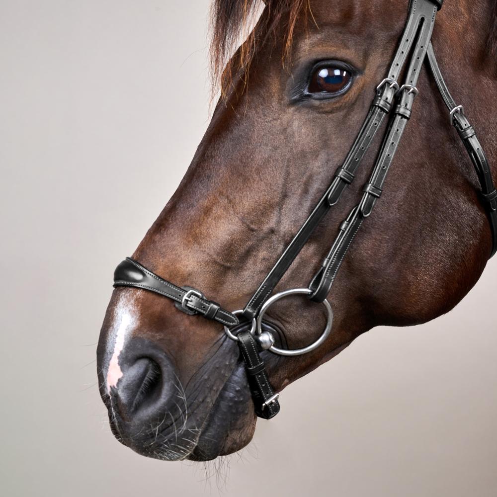 Adjustable Drop Noseband Bridle NE | Dy'on | Durability — Image 14