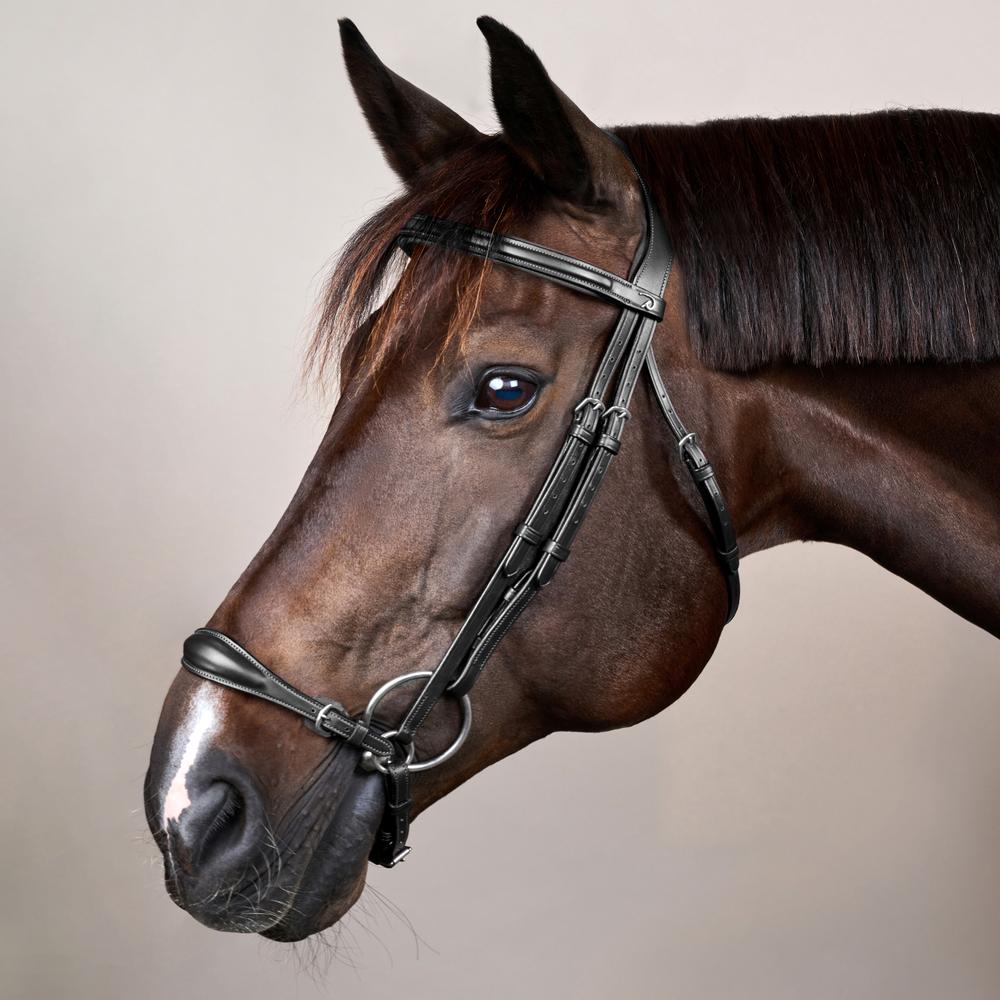 Adjustable Drop Noseband Bridle NE | Dy'on | Durability — Image 9
