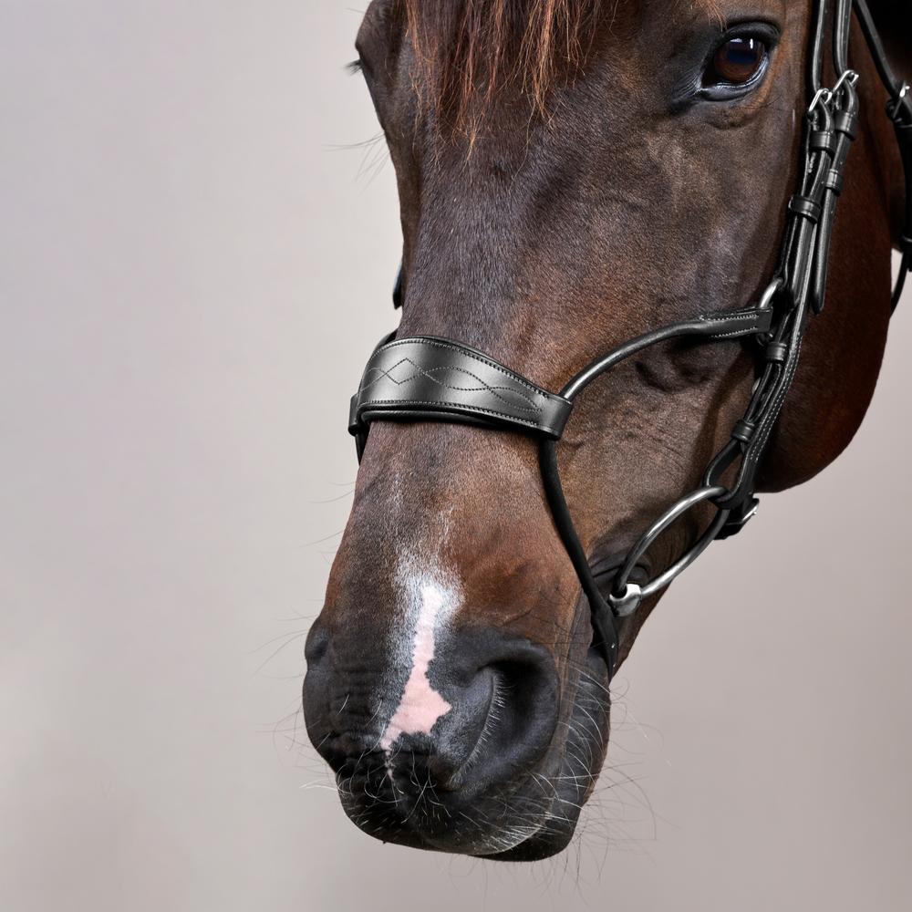 Hybrid Noseband Bridle NE |  | LuxuryLeather — Image 3