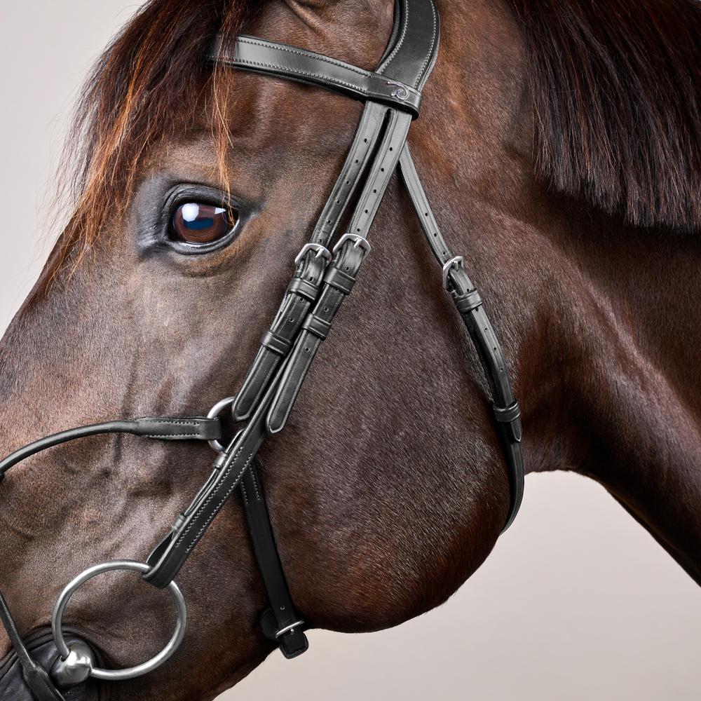 Hybrid Noseband Bridle NE |  | LuxuryLeather — Image 4