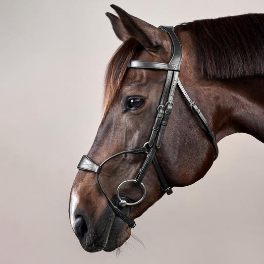 Hybrid Noseband Bridle NE |  | LuxuryLeather — Image 2