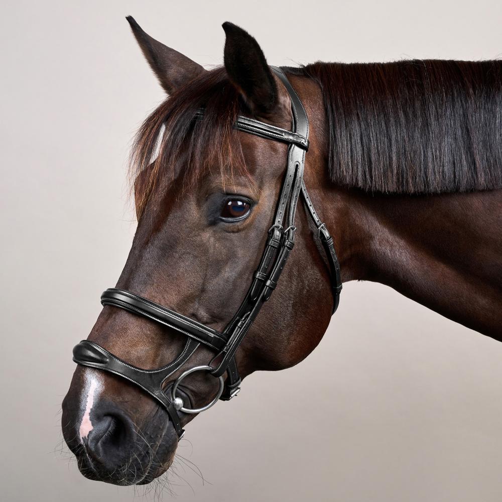 Double Noseband Bridle NE | Dy'on | premiumleather — Image 10