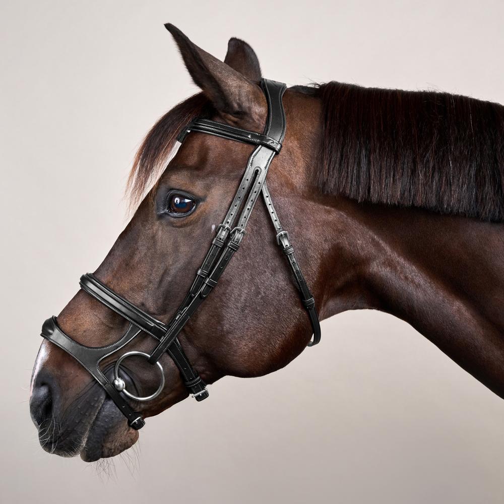 Double Noseband Bridle NE | Dy'on | premiumleather — Image 9