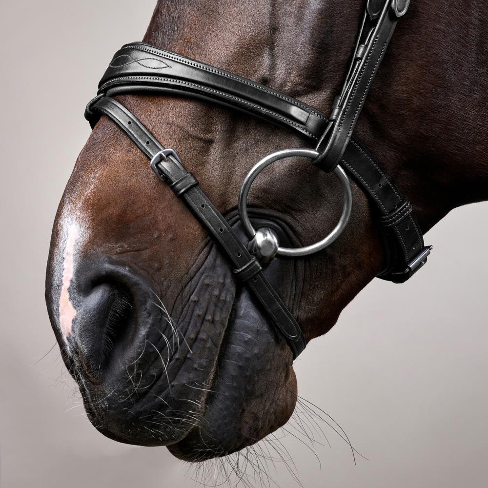 Anatomic Flash Noseband Bridle NE | Dy'on | elegance — Image 5