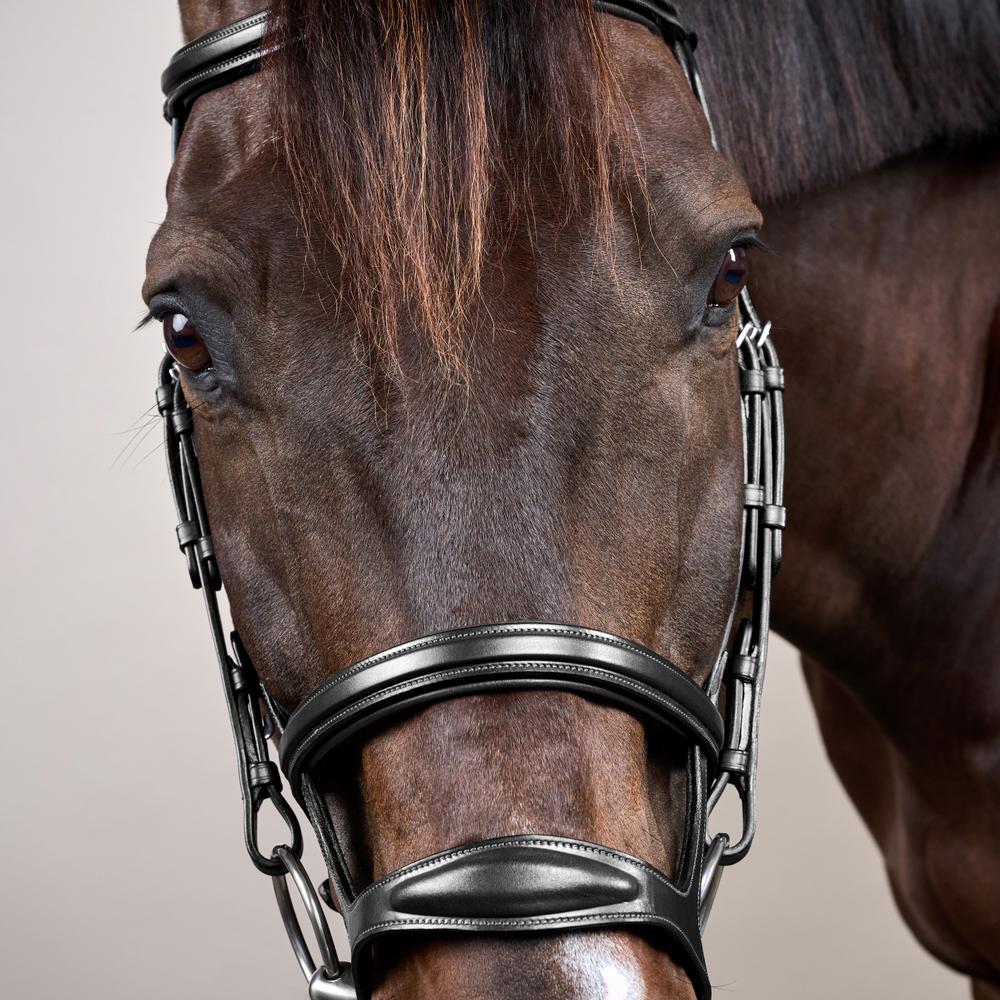 Double Noseband Bridle NE | Dy'on | premiumleather — Image 7